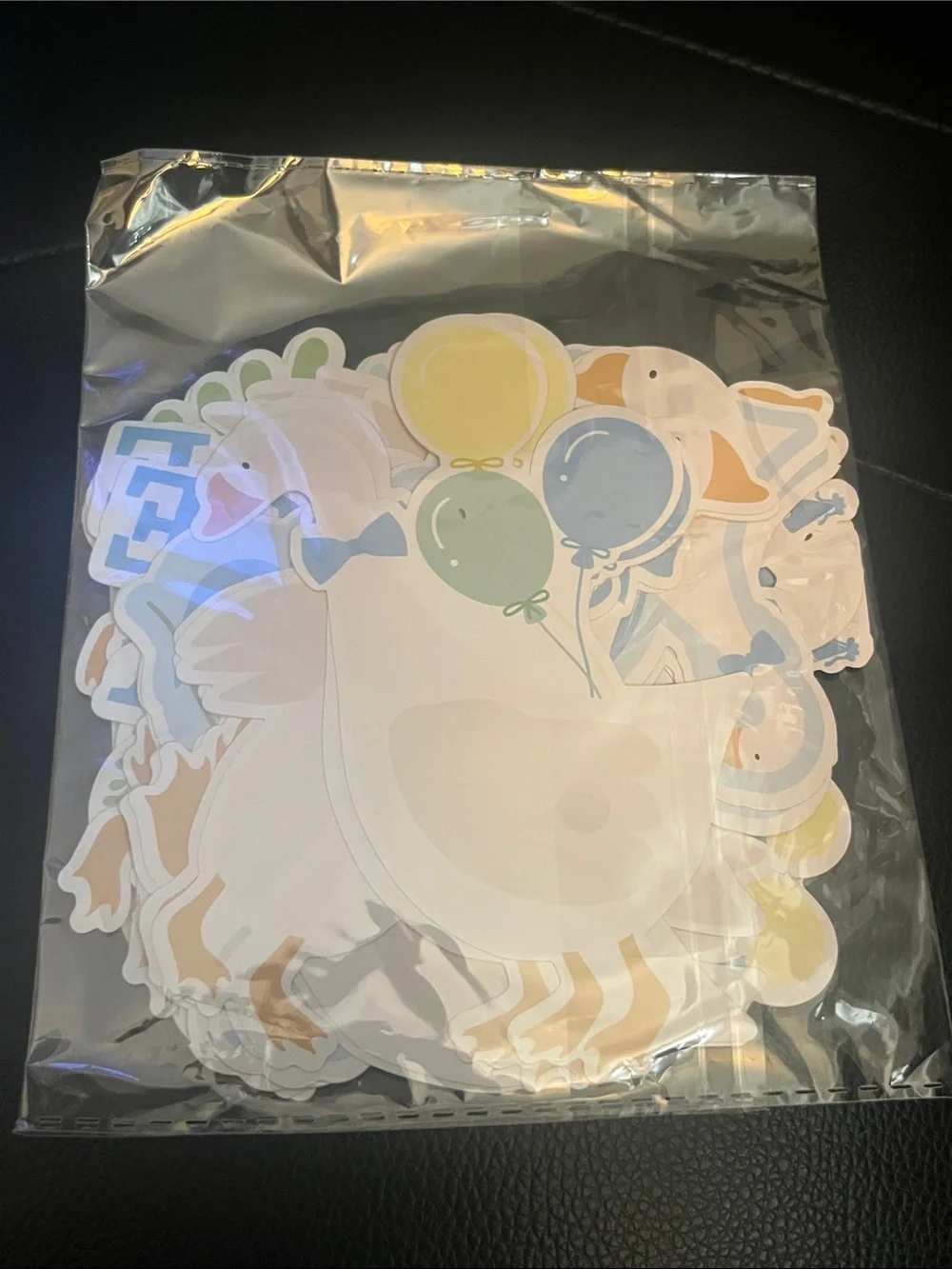 CJ Boy Silly Goose 1st Birthday Decorations